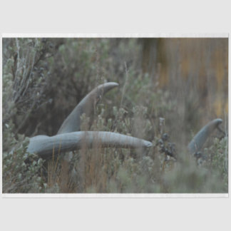Papier Mousseline Antlers perdus