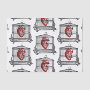 Papier Mousseline Apothécaire