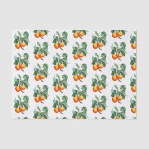 Papier Mousseline Apprentissage sur une branche