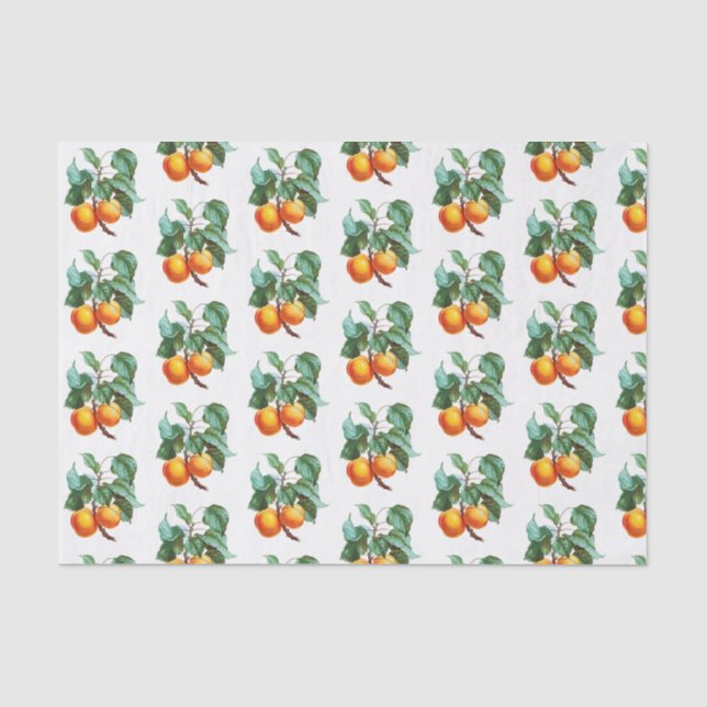 Papier Mousseline Apprentissage sur une branche (Recto)