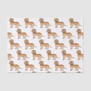 Papier Mousseline Apricot Mini Goldendoodle mignon Motif de dessin a