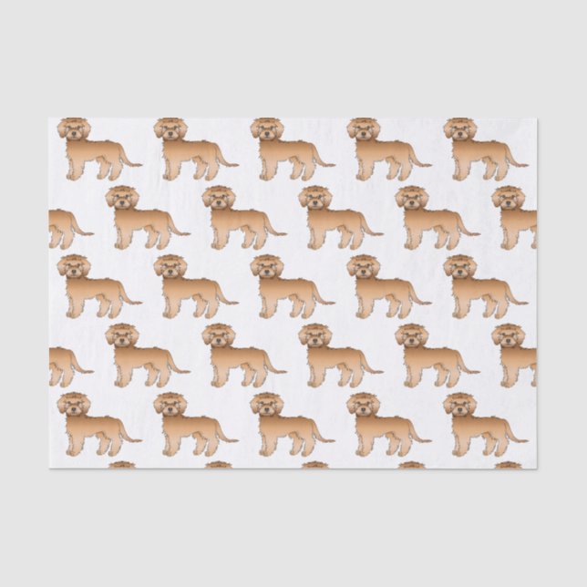 Papier Mousseline Apricot Mini Goldendoodle mignon Motif de dessin a (Recto)