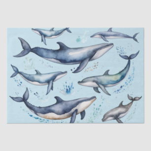 Papier Mousseline Aquarelle Baleines bleues et dauphins, animal mari