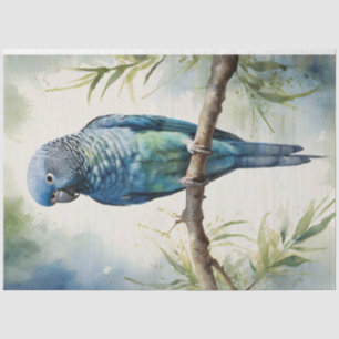 Papier Mousseline Aquarelle bleu Parakee Eucalyptus Découpage