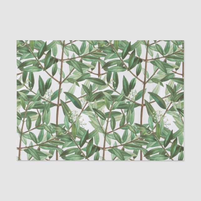 Papier Mousseline Aquarelle botanique de feuillage vert (Recto)