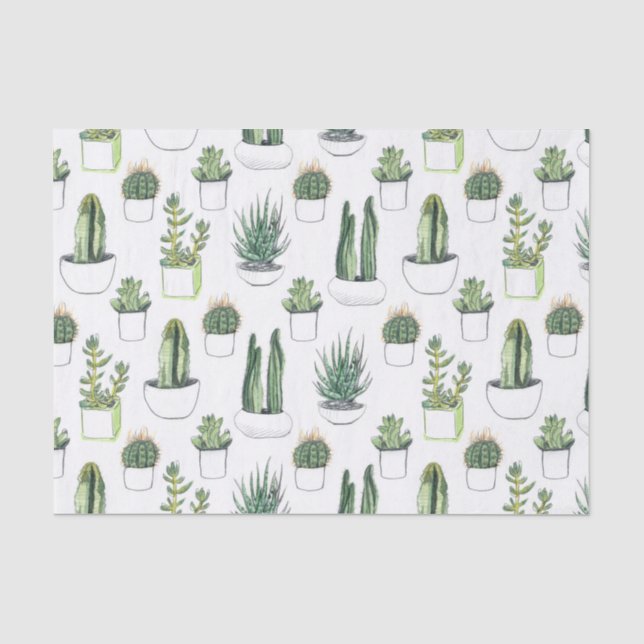 Papier Mousseline Aquarelle Cacti & Succulent (Recto)