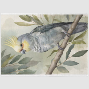 Papier Mousseline Aquarelle Cockatiel Eucalyptus Arbre Découpage
