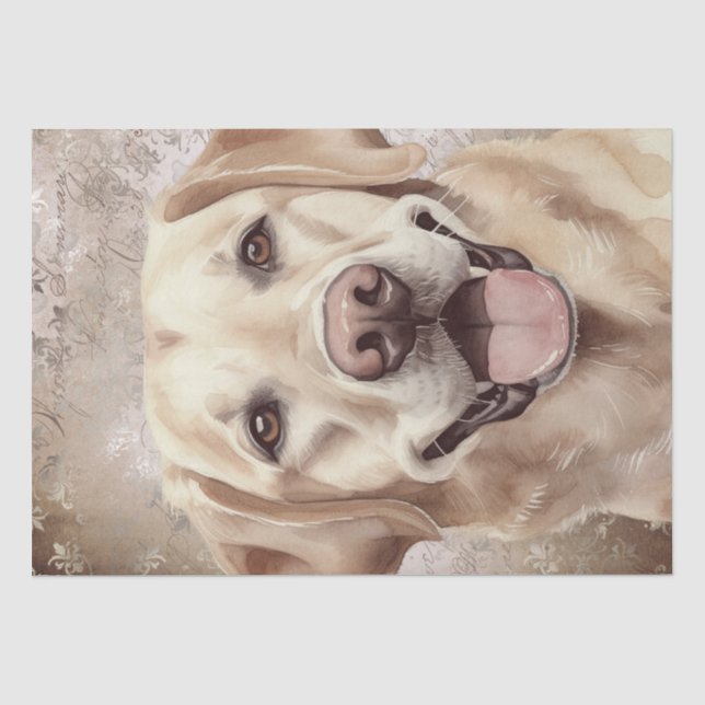 Papier Mousseline Aquarelle de chien du Labrador (Recto)