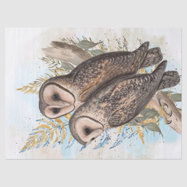 Papier Mousseline Aquarelle de hibou (Recto)