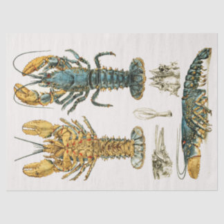 Papier Mousseline Aquarelle de homard bleu vintage