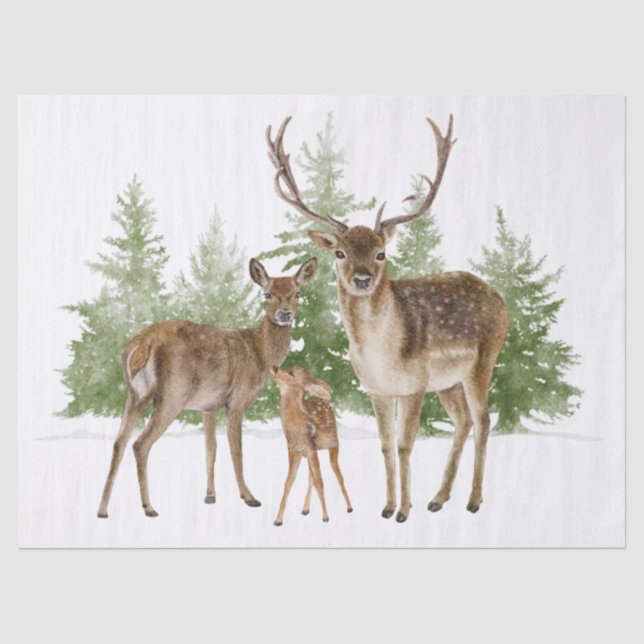 Papier Mousseline Aquarelle de la famille des cerfs (Recto)