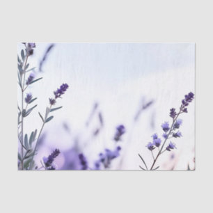 Papier Mousseline Aquarelle de lavande romantique