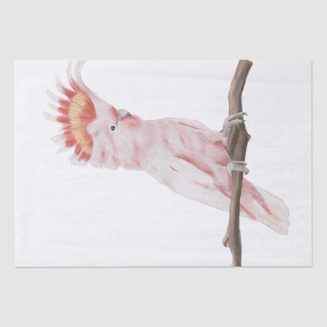 Papier Mousseline Aquarelle de perroquet rose (Recto)