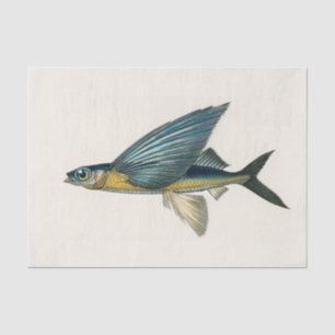 Papier Mousseline Aquarelle de poisson volant vintage