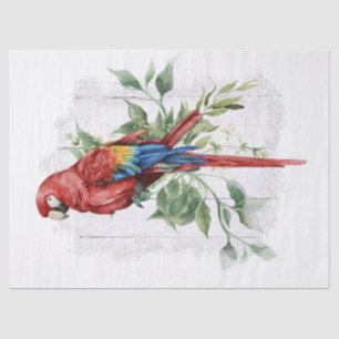 Papier Mousseline Aquarelle Eucalyptus de perroquet macaw Scarlet