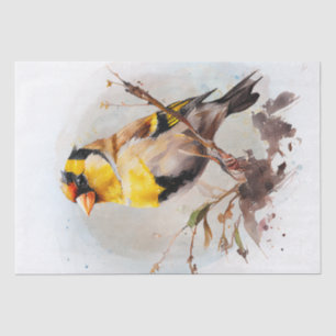 Papier Mousseline Aquarelle Goldfinch Bird