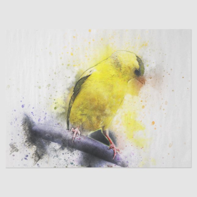 Papier Mousseline Aquarelle Oiseau 5 Découpage Mur Art (Recto)