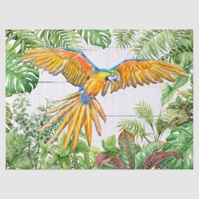 Papier Mousseline Aquarelle orange bleu perroquet (Recto)