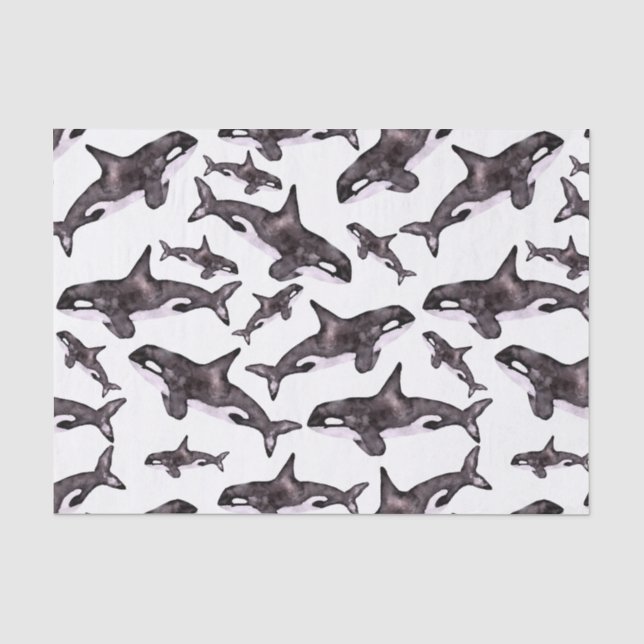 Papier Mousseline Aquarelle Orca (Recto)