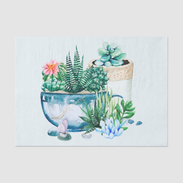 Papier Mousseline Aquarelle Plantes succulents dans les pots (Recto)