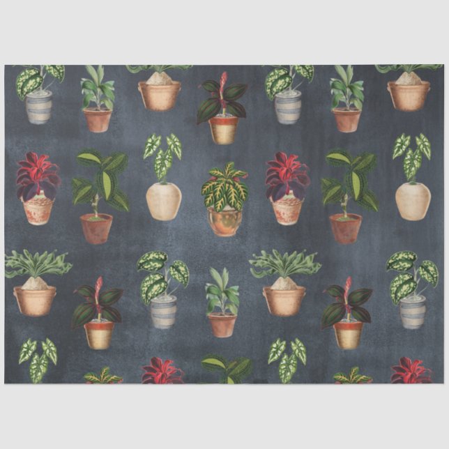 Papier Mousseline Aquarelle Pointe Plante Terracotta Pots Rustique (Recto)