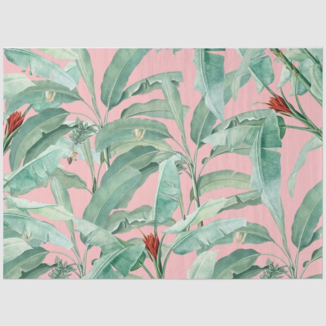 Papier Mousseline Aquarelle rose moderne Tropical Banana Palm Feuill (Recto)