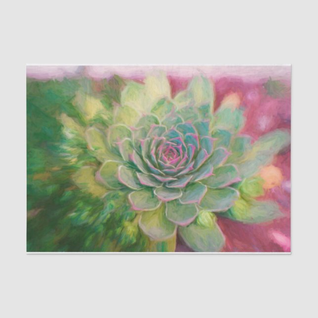 Papier Mousseline Aquarelle rose rose rustique Succulente (Recto)
