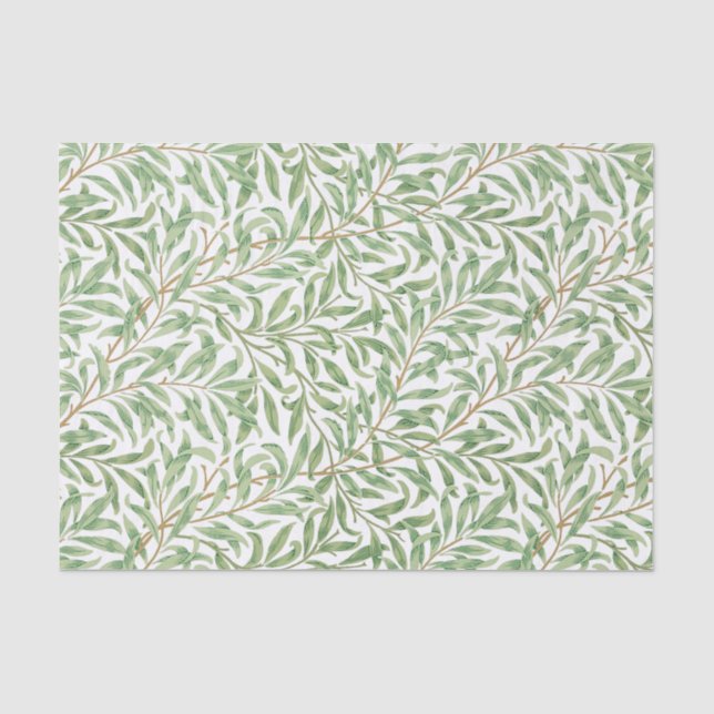 Papier Mousseline Aquarelle Succulente Jolie couleur Pastel (Recto)
