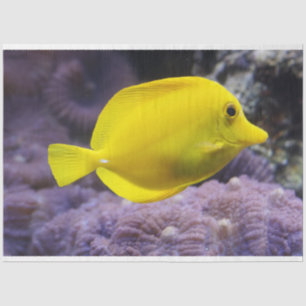 Papier Mousseline aquarium citron papier de tissu de poisson