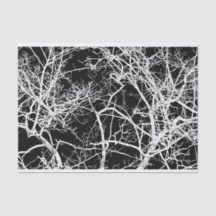 Papier Mousseline Arborescence des branches sur l'arrière - plan noi