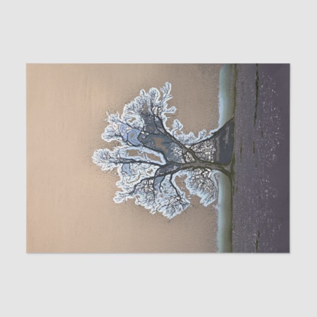 PAPIER MOUSSELINE ARBRE (Recto)