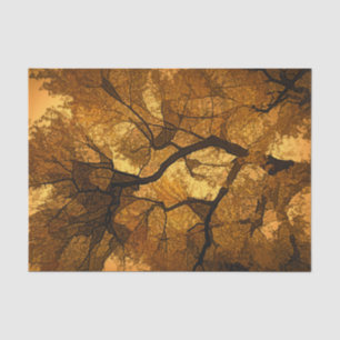 Papier Mousseline Arbre d'automne Ambre Orange Brun Feuilles Coucher