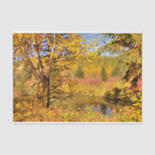 Papier Mousseline Arbre de bouleau d'automne