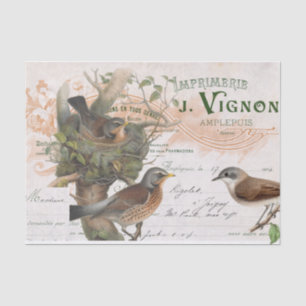 Papier Mousseline Arbre de nids d'oiseaux Vintage français Script Dé