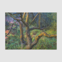 Arbre de Palo Verde