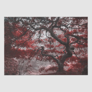 Papier Mousseline Arbre rouge en fleurs de cerisiers