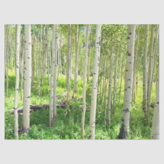 Papier Mousseline Arbres d'Aspen