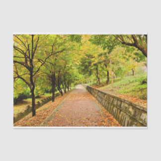 Papier Mousseline Arbres d'automne