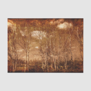 Papier Mousseline Arbres de forêt Texture Grunge Vintage Rustique Nu