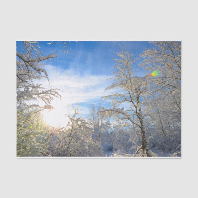 Papier Mousseline Arbres Neige Hiver Couvert Ciel Bleu Nuages Paysag (Recto)