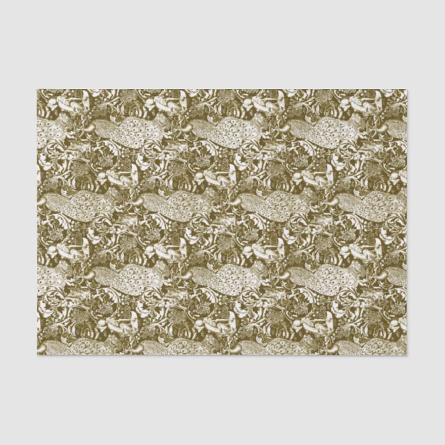 Papier Mousseline Art Nouveau Peacock Imprimer, Brown et crème (Recto)