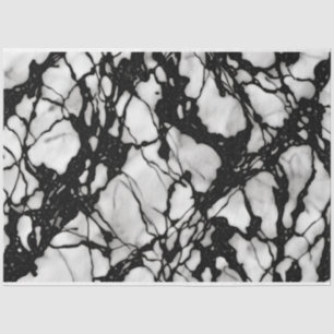 Papier Mousseline Artiste Noir Blanc Grand Marbre Abstrait 1g