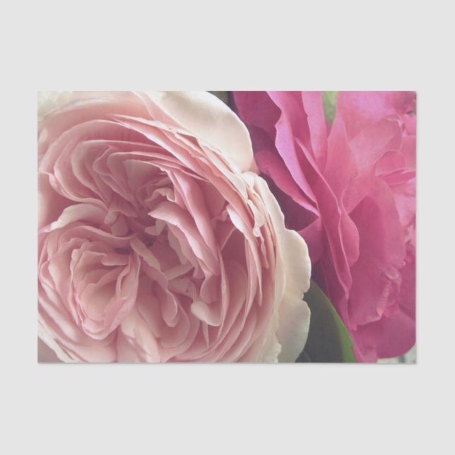 Papier Mousseline Assez dans le rose (Recto)