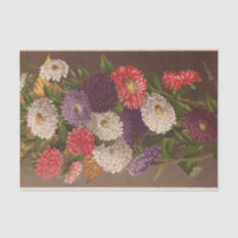 Asters de fleurs par Ellen Robbins
