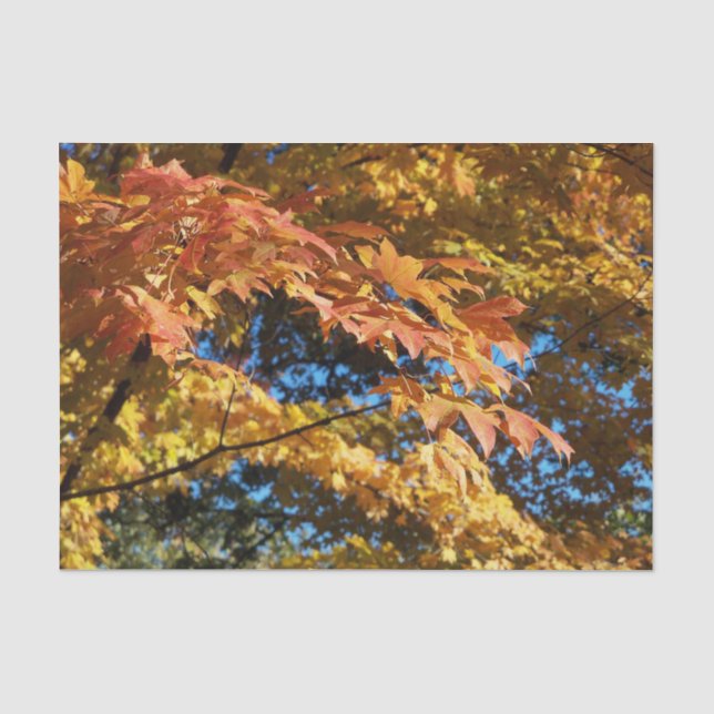 Papier Mousseline Automne Feuilles Automne Hiver (Recto)