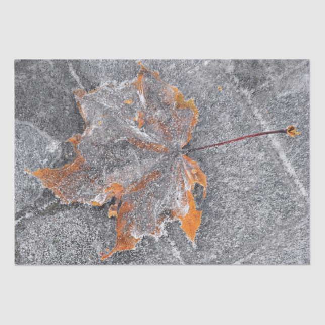 Papier Mousseline Automne Maple Leaf Orange Grey Automne (Recto)