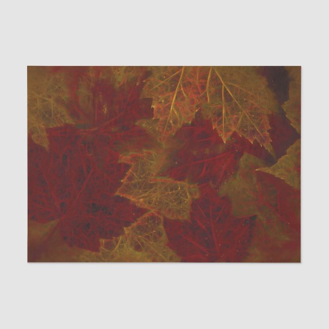 Papier Mousseline Automne Rouge Orange Neon Feuille d'érable foncé (Recto)