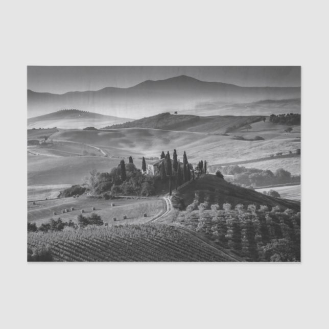 Papier Mousseline B&W Toscane (Recto)