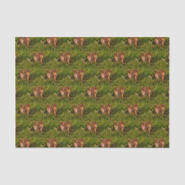 Papier Mousseline Baby Chipmunks Animal Nature Art (Recto)
