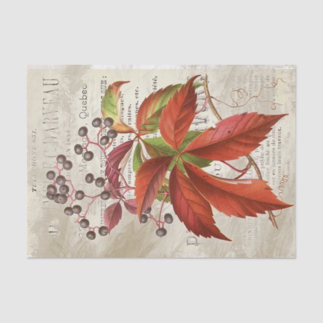 Papier Mousseline Baies Feuilles rouges Chute du feuillage Français  (Recto)